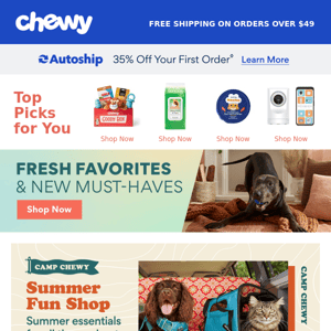 Chewy, Shop This Month’s New Arrivals!