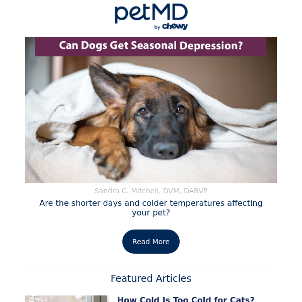 Can Dogs Get Seasonal Depression?