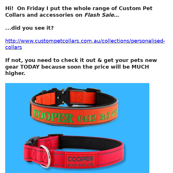 LAST CHANCE 🐕 Personalised Collars