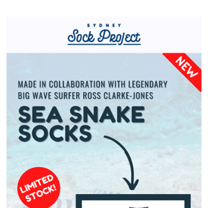 [NEW] Sea Snake Socks 🐍