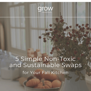 5 Non-Toxic & Eco-Friendly Fall Kitchen Upgrades