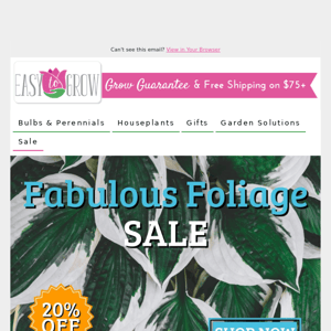 Fantastic Foliage Sale: 20% Off 🍃