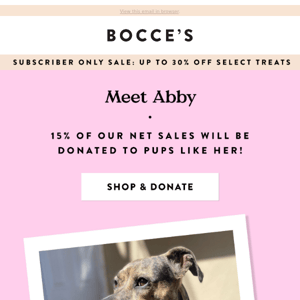 🐶 Shop to Donate to Muddy Paws Rescue!