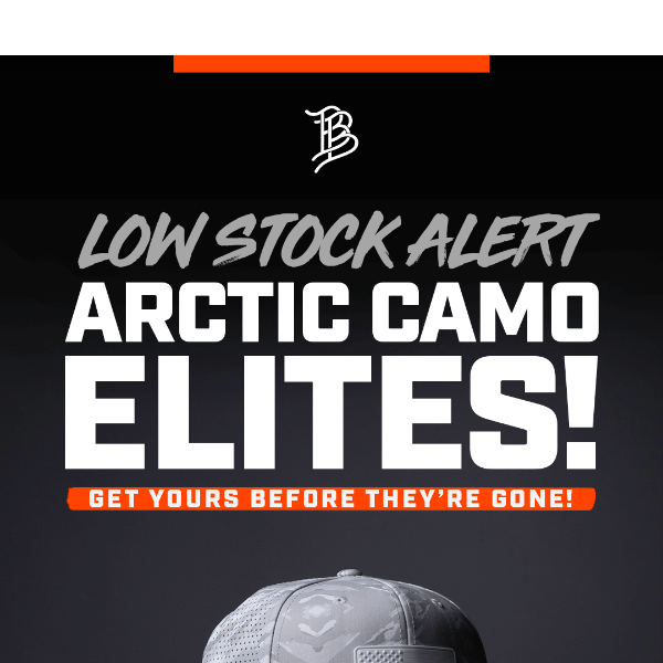 Discover the Arctic Elite Collection
