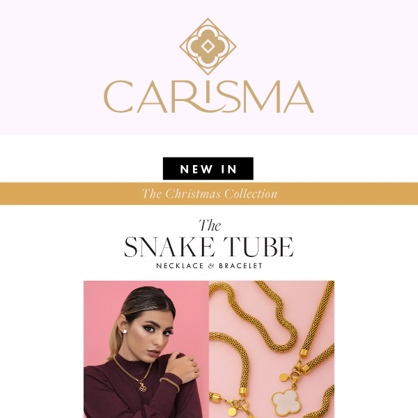 ✨ NEW IN ✨The Snake Tube Necklace & Bracelet 😍