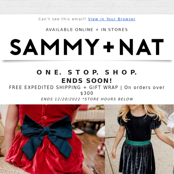 You still have time! Outfits and Gifts + FREE EXPEDITED SHIPPING 📦 + WRAPPING 🎁 (get by 12/24)