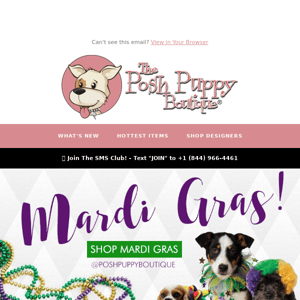 🤩 Fetch Fashions from Our Mardi Gras Collection! 🤩