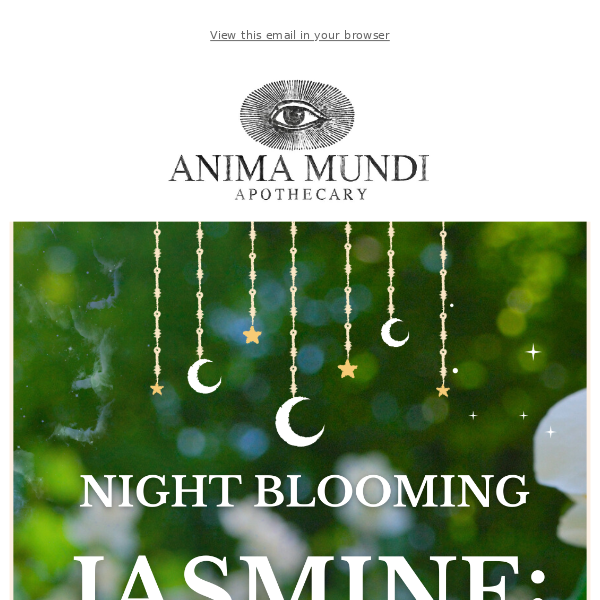 Night Blooming Jasmine: The Mysterious Queen of the Night