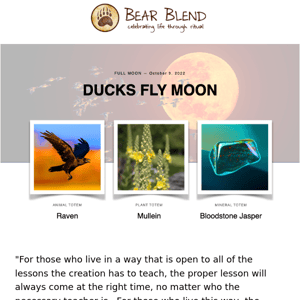 Ducks Fly Moon: Find Balance and Heal Fall’s Beginnings