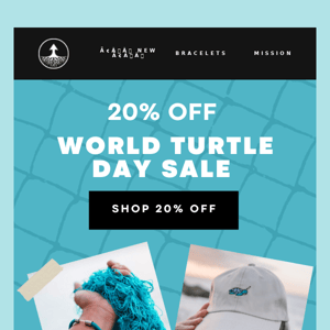 TODAY ONLY: Take 20% OFF 🐢