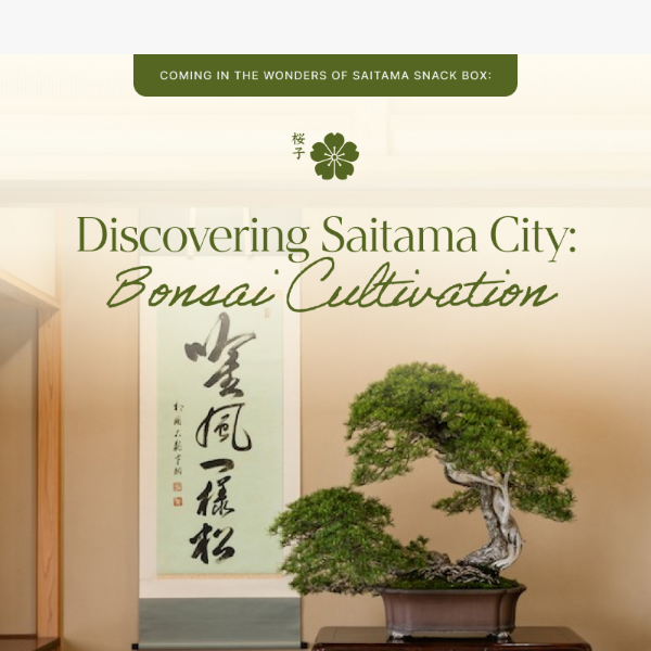 🪴Discovering Japan: Bonsai Cultivation