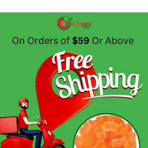 Free Shipping! Limited Time Offer