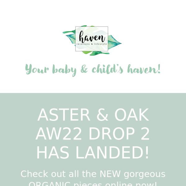 NEW ASTER & OAK AW22 DROP 2 IS HERE!