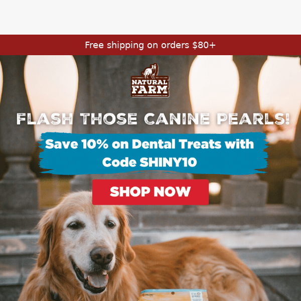 Fetch 10% off Dental Treats, all month long!