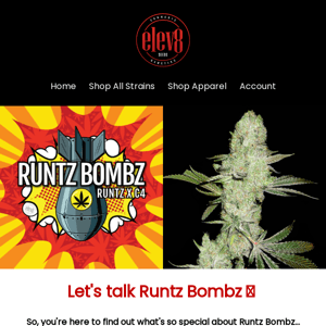 Let's talk about Runtz Bombz 💥💣