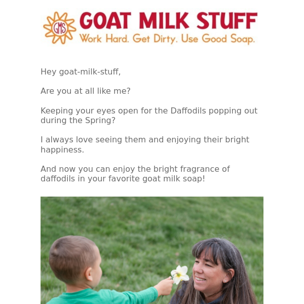 Daffodil goat milk soap is back!