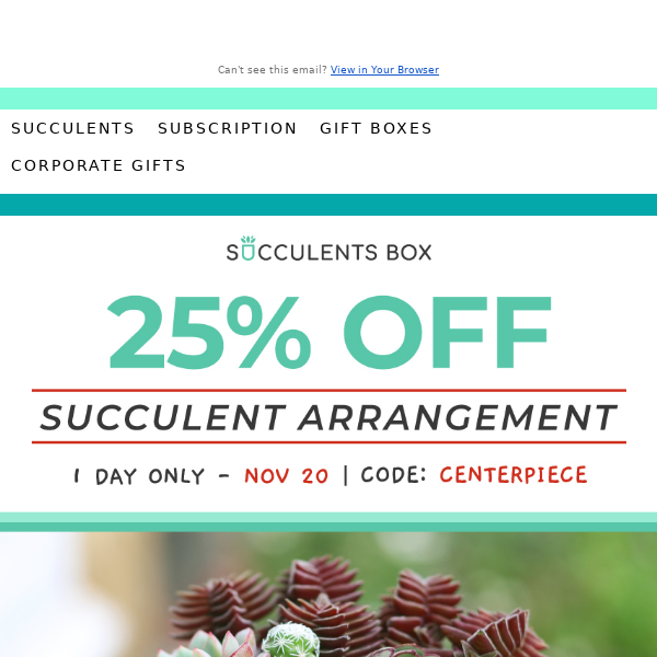 25% Off! Get Your Succulent Arrangement Today