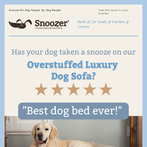 ✨ Get The Best Dog Bed EVER!