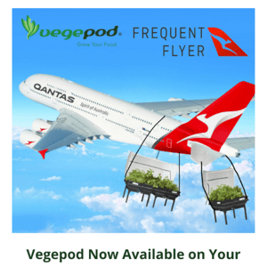 Vegepod on Qantas Frequent Flyer!✈