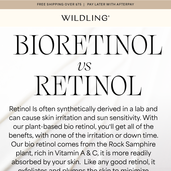 Your Guide To Plant Based Retinol