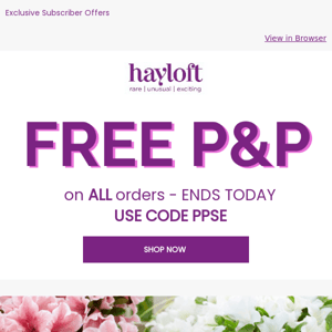 Get FREE P&P On All Orders - Ends Today