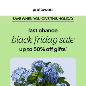 final days to save up to 50%