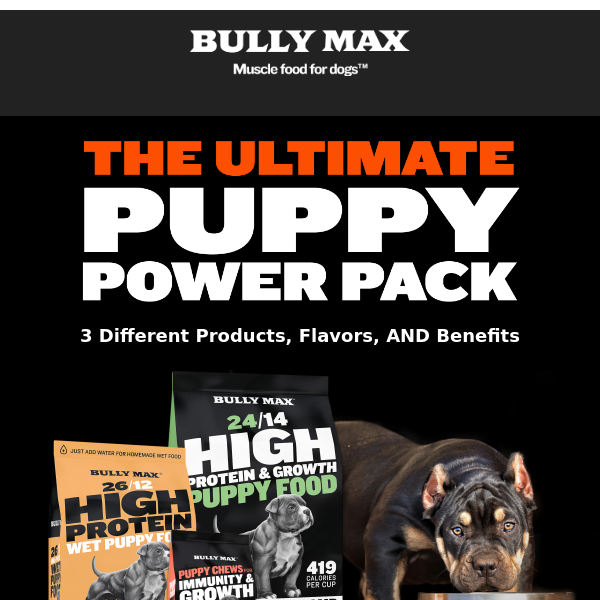 A discounted 'bundle of joy' for your puppy… - Bully Max