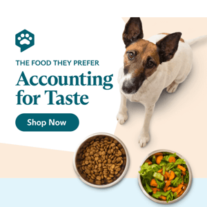 What Food Does Your Dog Find Most Delicious?
