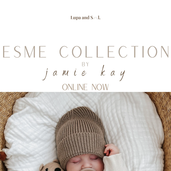 🤎ESME COLLECTION by jamie Kay🤎