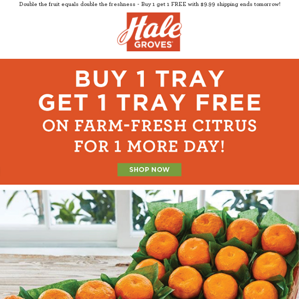 🍊🍊 Buy 1 Get 1 Tray FREE on Farm-Fresh Citrus Continues for 1 More Day! 🍊🍊