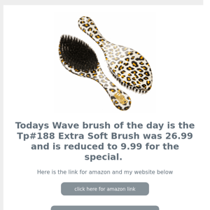 🔥🔥 Brush of the day Special for this Tuesday   🔥🔥