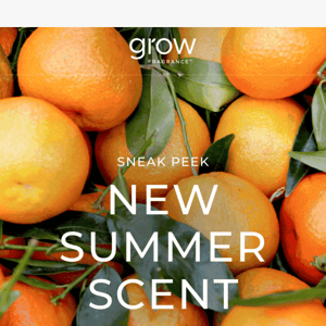 SNEAK PEEK: New Summer Scent 🍊