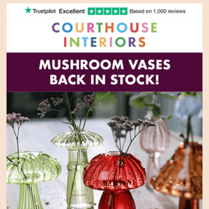 🍄 Mushroom Vases are BACK! 🍄