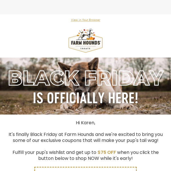 🐾 Grab Early Black Friday Deals for Your Pup 🐶
