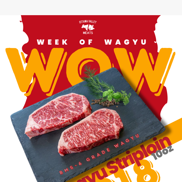 WOW - Week Of Wagyu! 🥩🎌