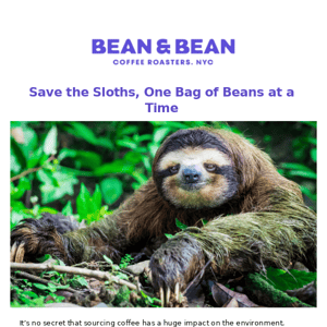 Delicious coffee 🤝🏼 saving sloths
