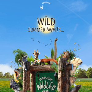 A WILD Summer Awaits...☀️