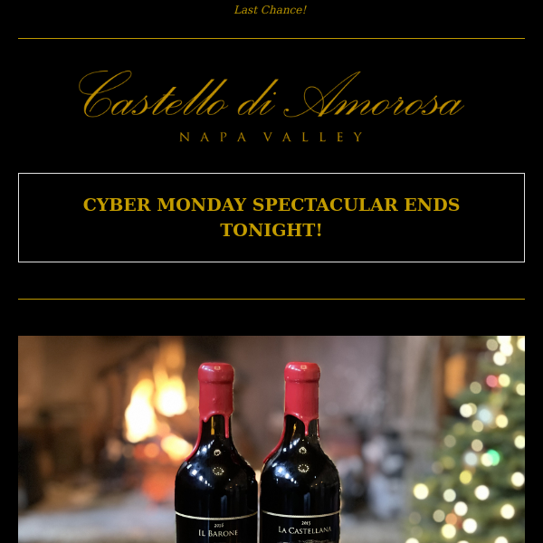 Last Chance for Cyber Monday Sale! 🏰🍷