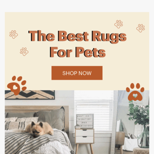 These Rugs Get Our BARK of Approval! 🐶 🐶 🐶