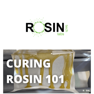 What is rosin curing, and how do you do it? Learn the secrets 👀