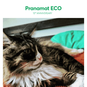 Your life, but with Pranamat ECO®