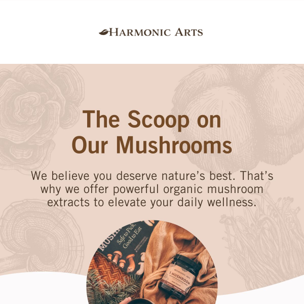 Know your mushrooms 🍄🔍