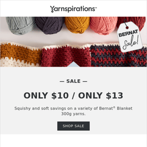 Bernat Blanket 300g yarns for $10!