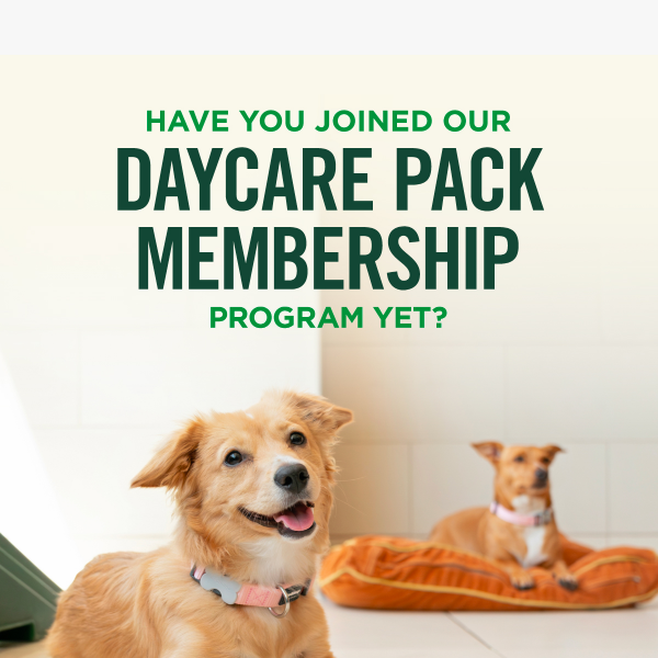Learn More About Our Daycare Pack Memberships!