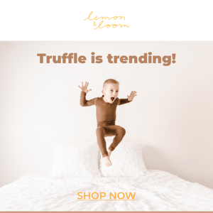 Truffle is trending 🍫