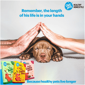 Have You Tried Healthy Homestyle Meal For Your Dog❓