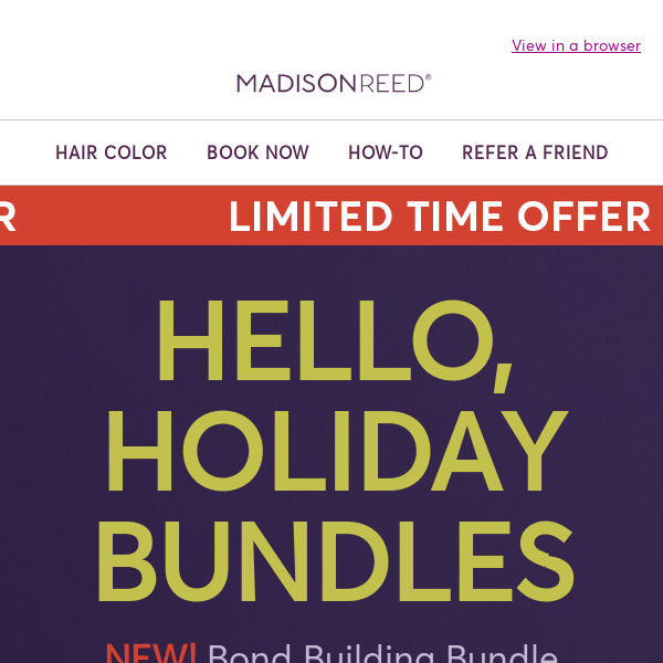 Save Big on Holiday Bundles at the Hair Color Bar!