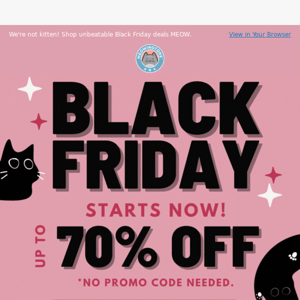 🚨 Black Friday starts NOW – up to 70% OFF! 🚨