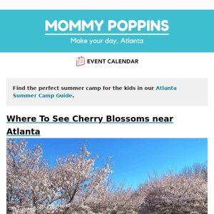 Where To See Cherry Blossoms near Atlanta
