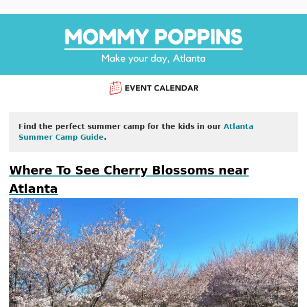 Where To See Cherry Blossoms near Atlanta